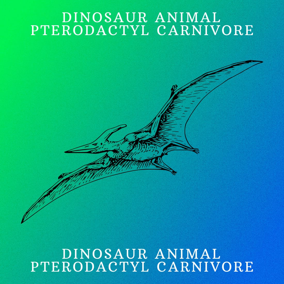 Dinosaur Animal Pterodactyl Carnivore - Colorful Example.