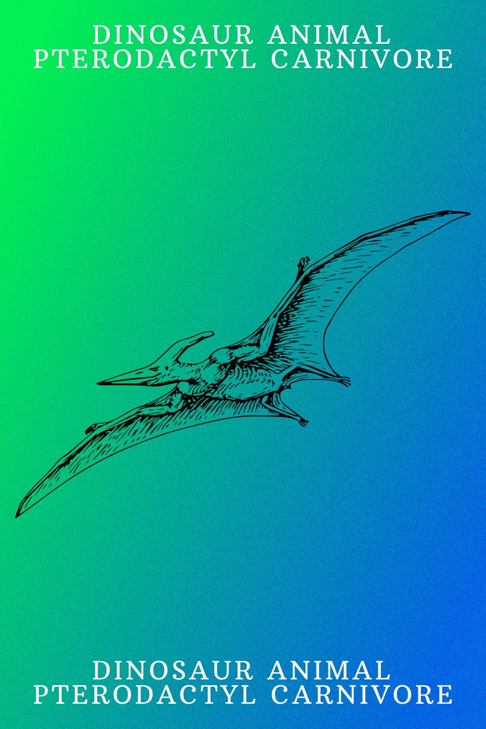Dinosaur Animal Pterodactyl Carnivore - Pinterest Image.