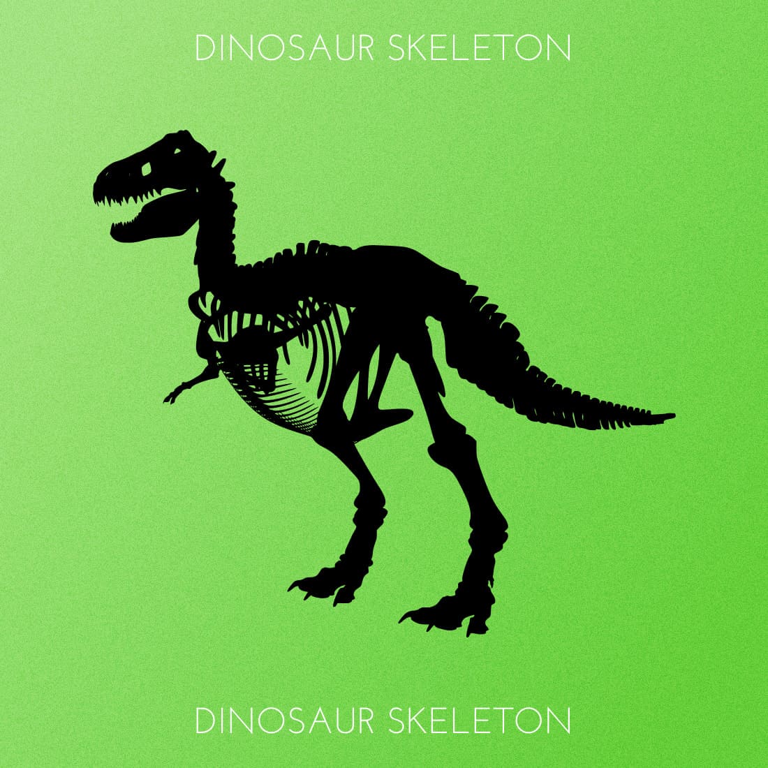 Dinosaur Skeleton - Green Colorful Image.