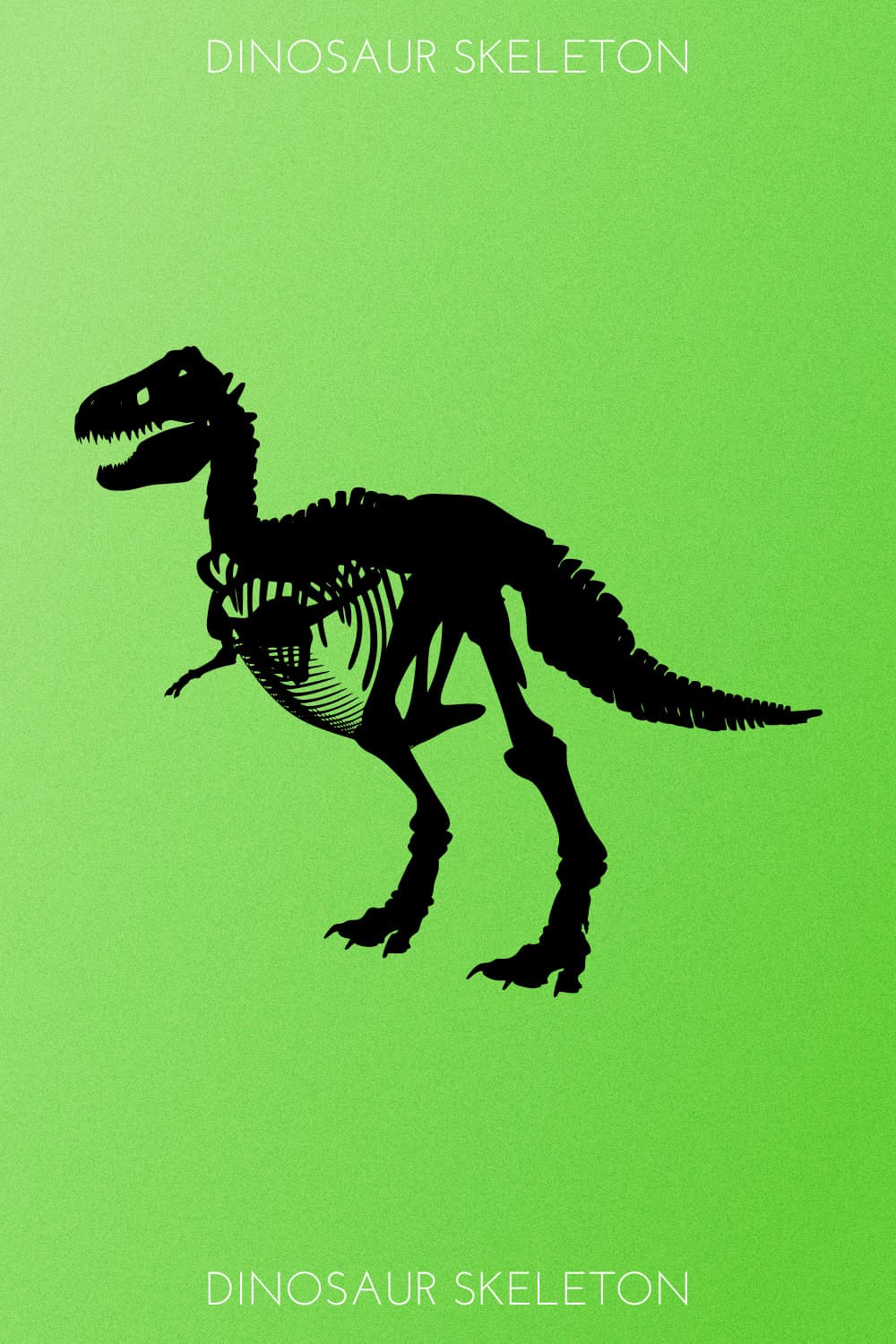 Dinosaur Skeleton - Pinterest Image.