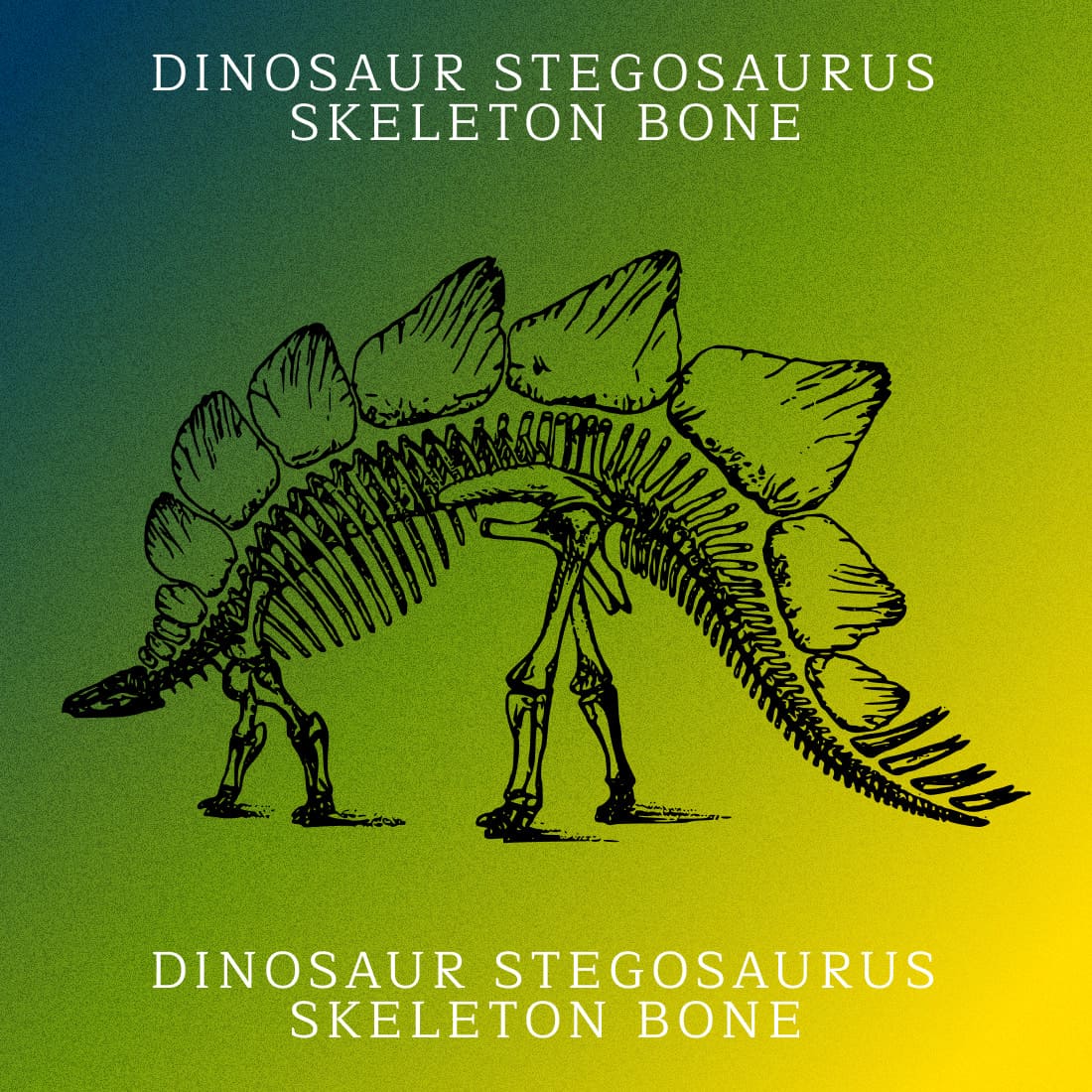 Dinosaur Stegosaurus Skeleton Bone - Green Colorful Example.