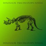 Dinosaur Triceratops Fossil - Green Colorful Example.