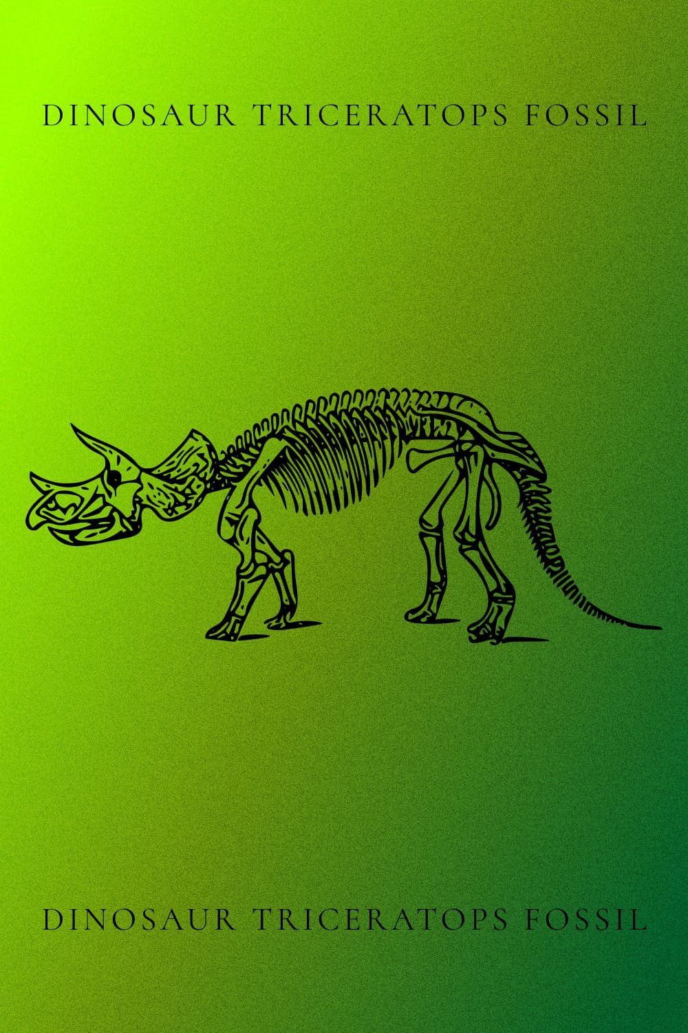 Dinosaur Triceratops Fossil - Pinterest Image.