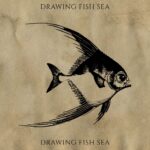 Drawing Fish Sea - Example on vintage Paper.