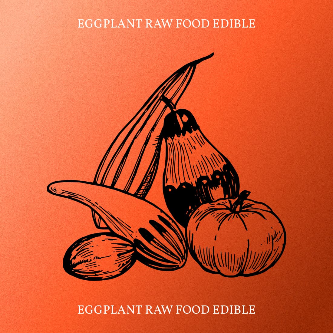Eggplant Raw Food Edible - Orange Colorful Image.