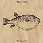 Fish Sea - Example on vintage Paper.