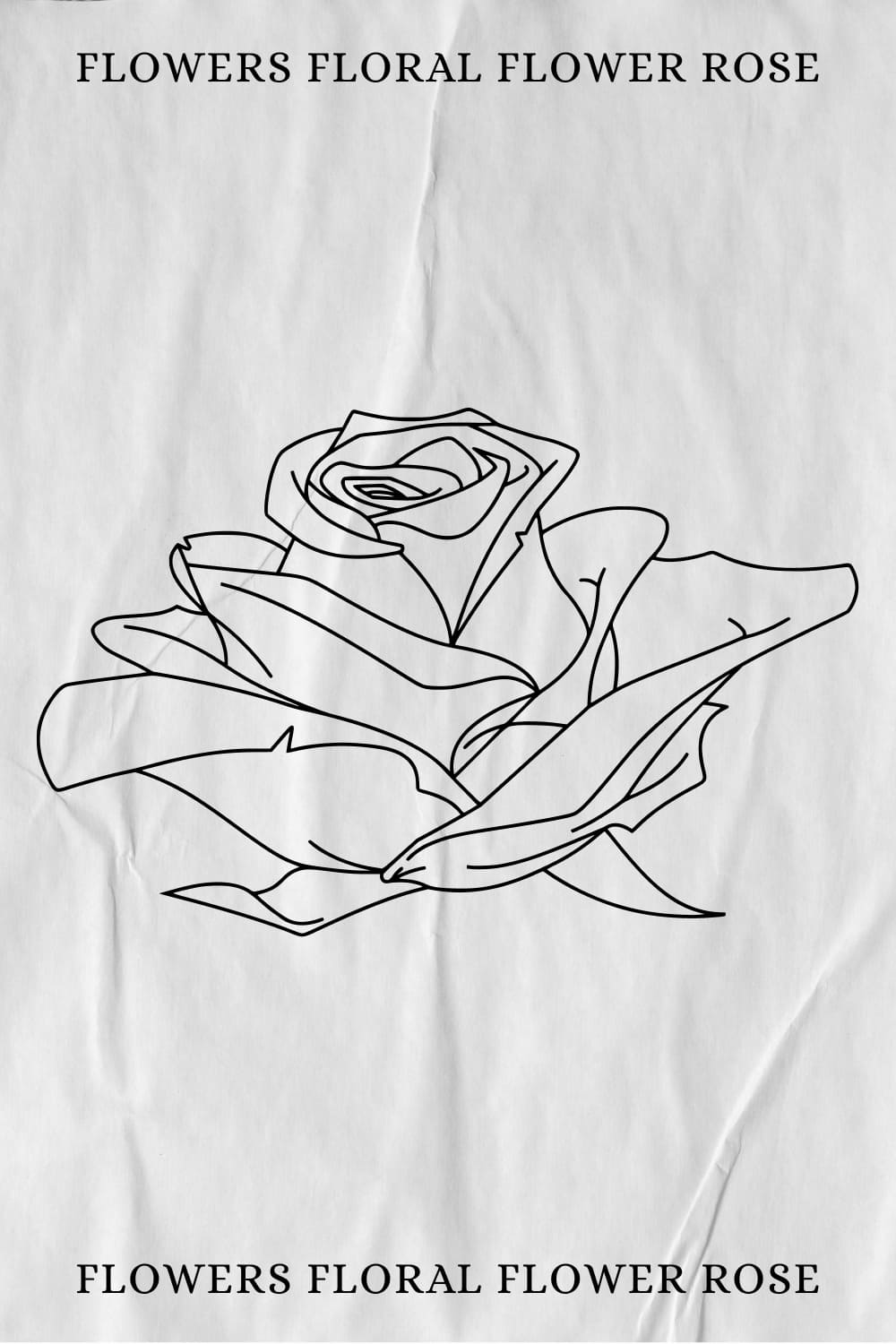 Hand-drawn rose on the old paper.