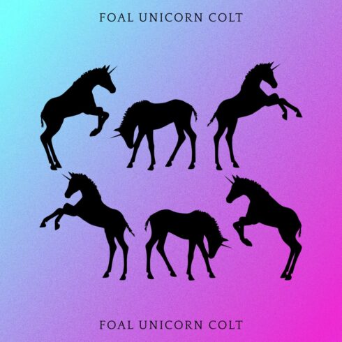 Foal Unicorn Colt - Colorful Example.