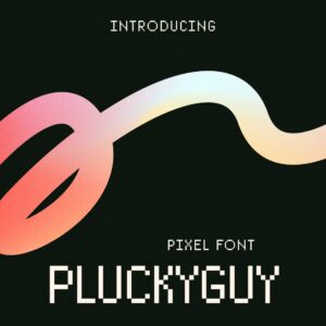 Pluckyguy Pixel Font Example.