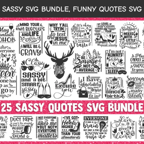 Sassy SVG Bundle, funny quotes svg.