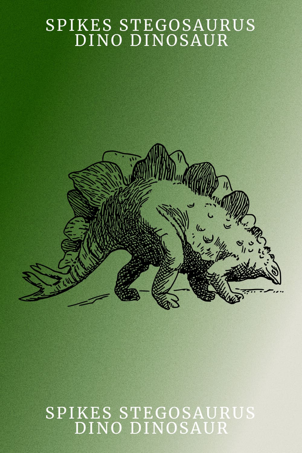 Spikes Stegosaurus Dino Dinosaur - Pinterest Image.