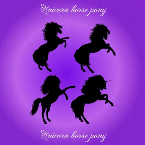 Unicorn Horse Pony - Purple Colorful Image.