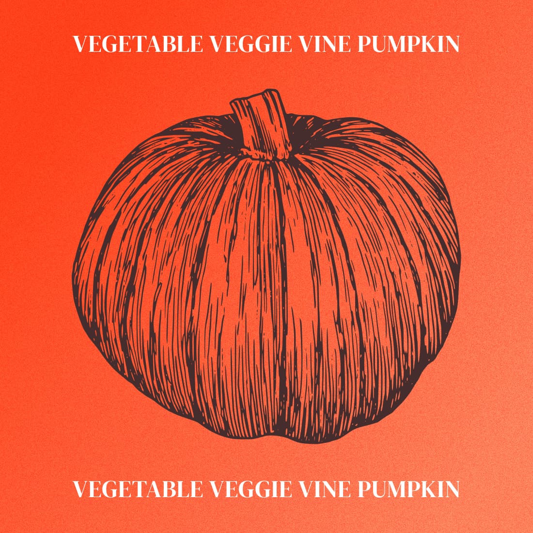 Vegetable Veggie Vine Pumpkin - Orange Colorful Image.