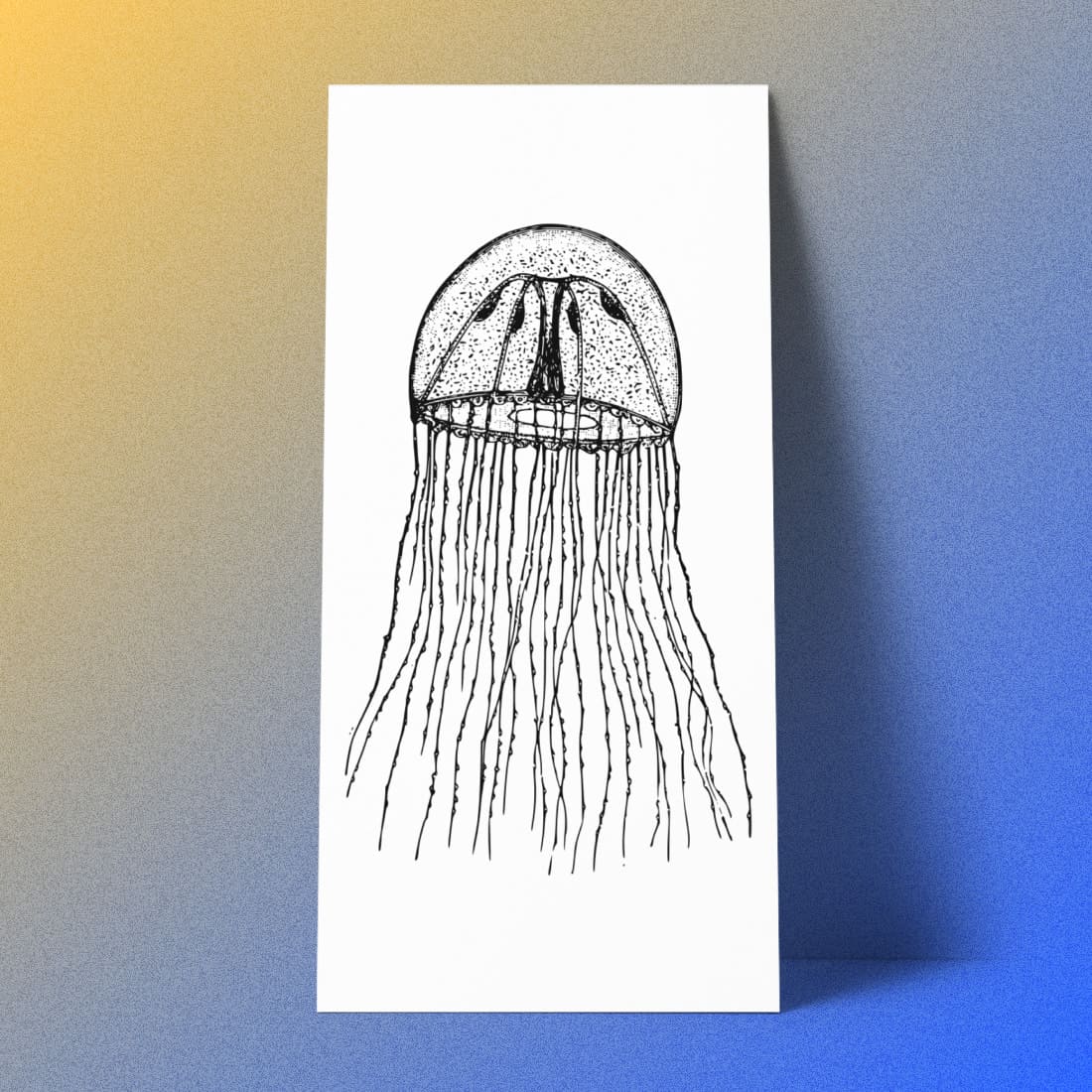 Animal Jellyfish Ocean Medusa on the Paper.