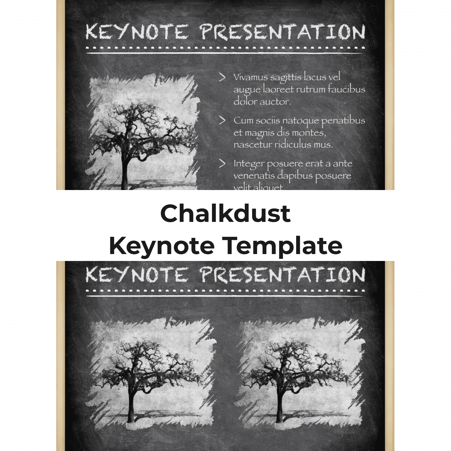 Chalkdust Keynote Template cover.