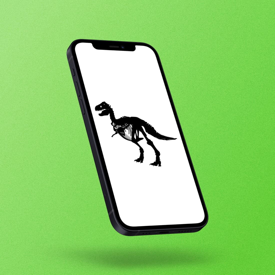 Dinosaur Skeleton on the Phone Lockscreen.