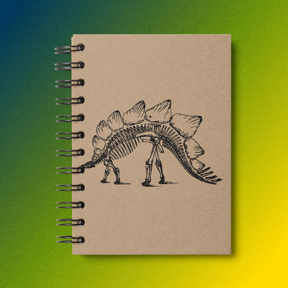 Dinosaur Stegosaurus Skeleton Bone on Notebook.