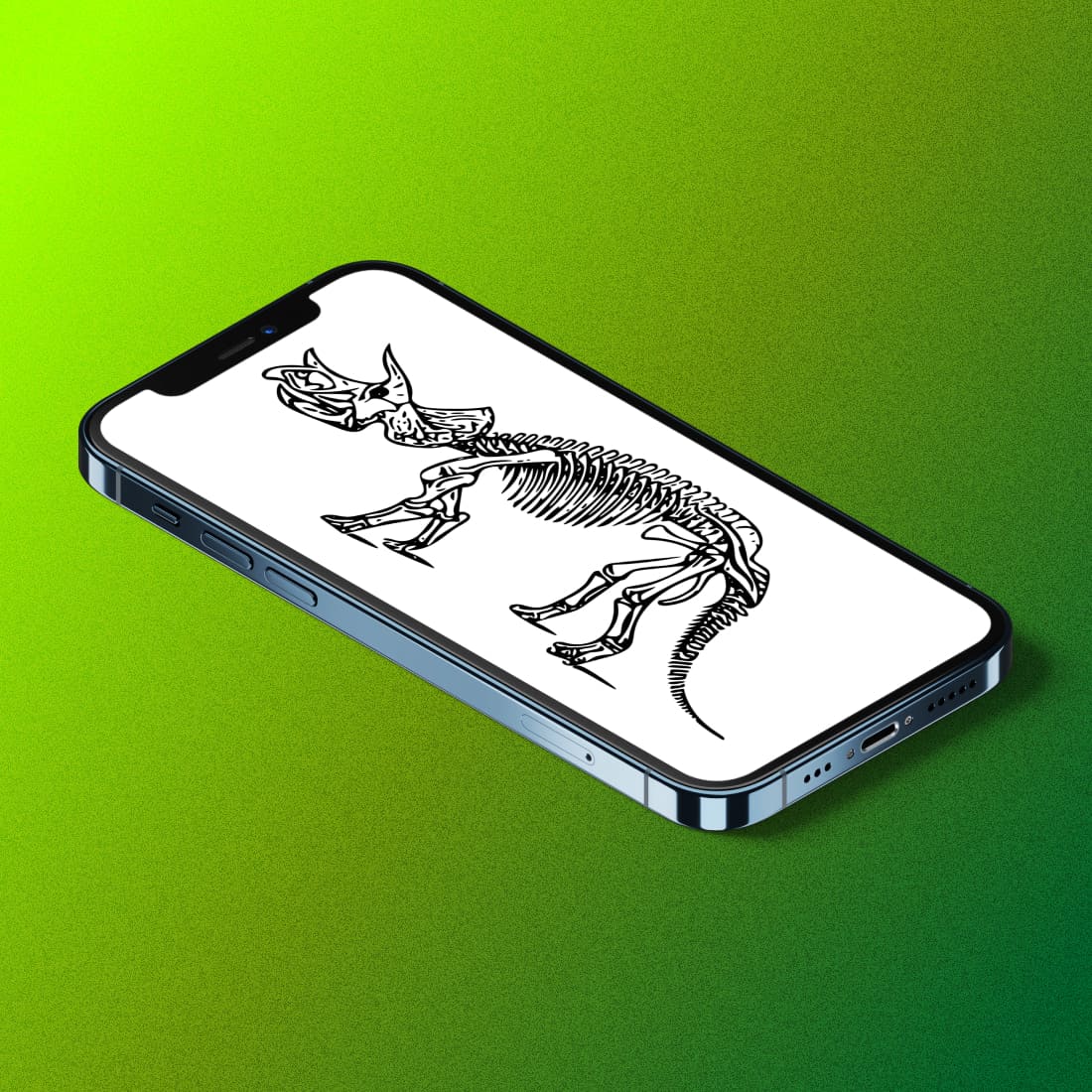 Dinosaur Triceratops Fossil on Phone Lockscreen.