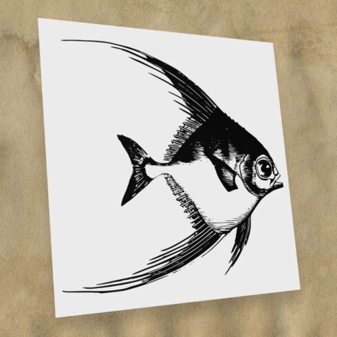Free Drawing Fish Sea SVG – MasterBundles