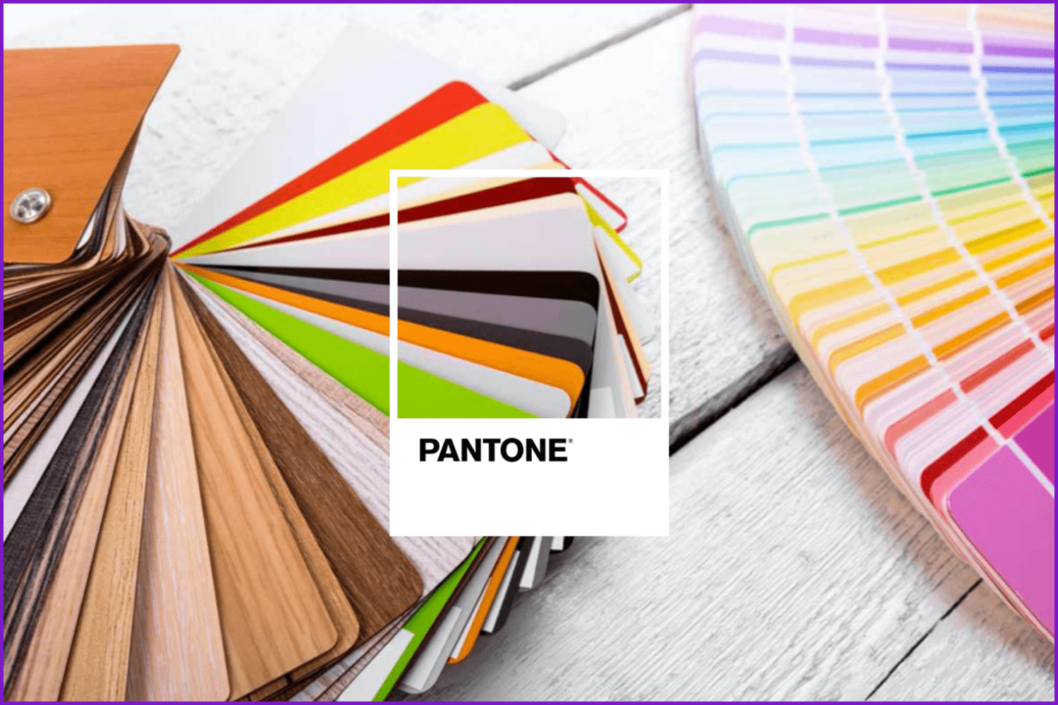Panton with bright trends color.