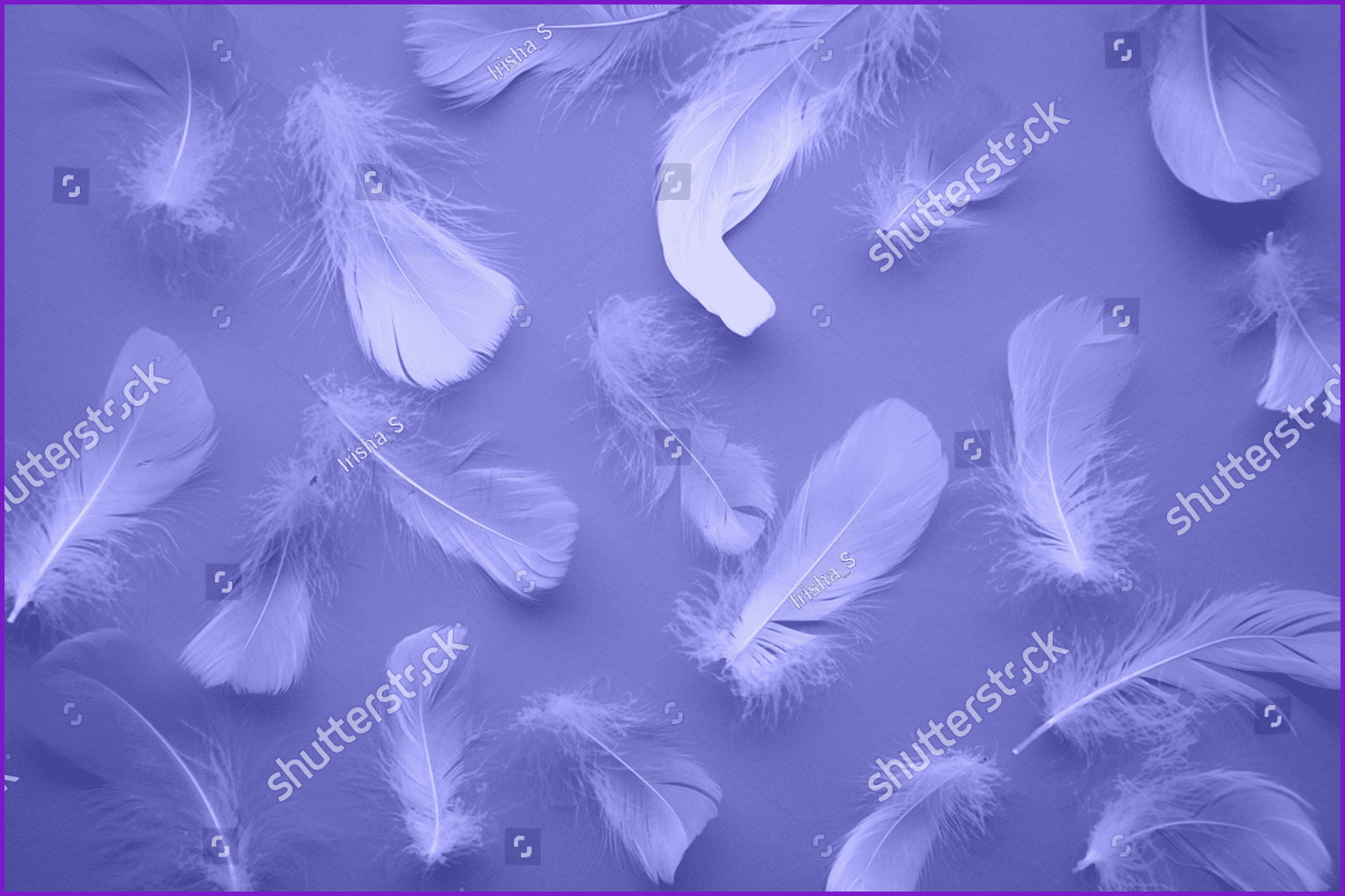 Light feathers on a purple background.