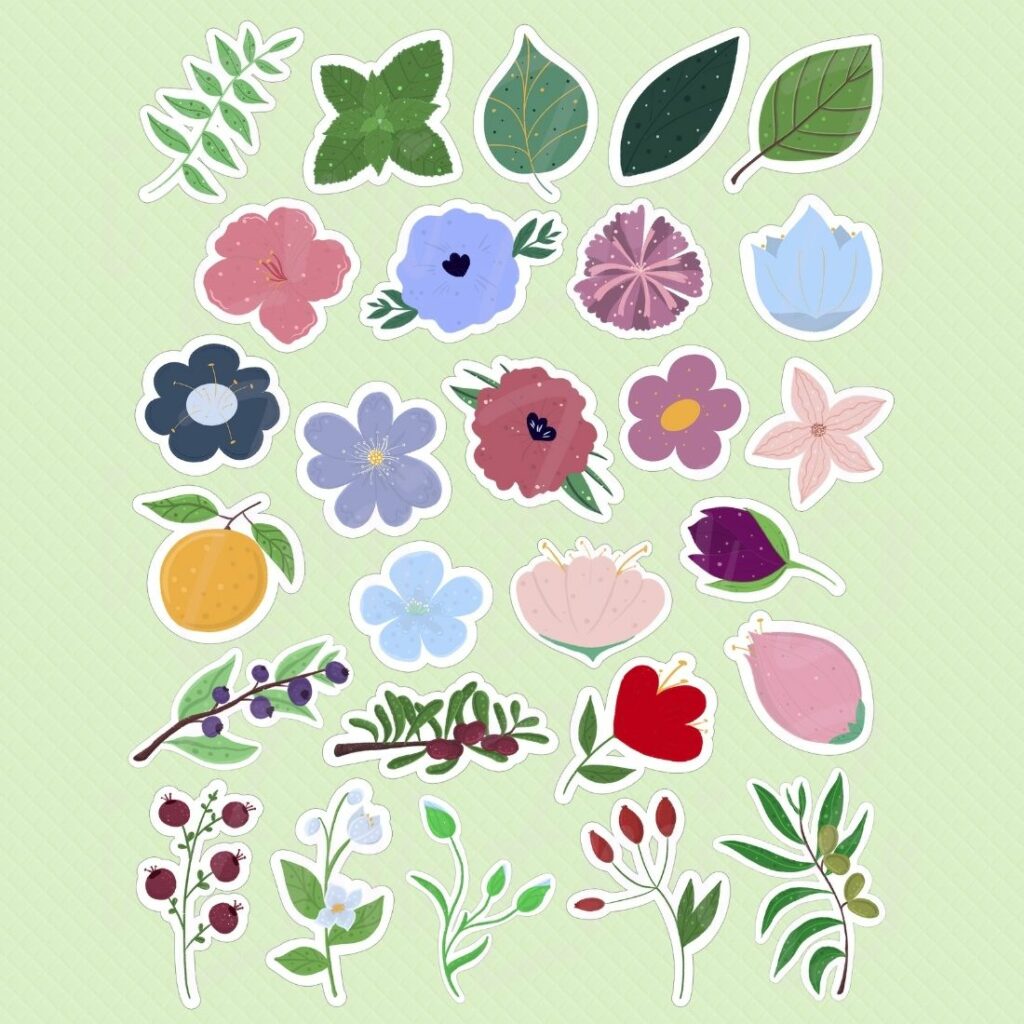 Botanical flowers and plants digital sticker pack - MasterBundles