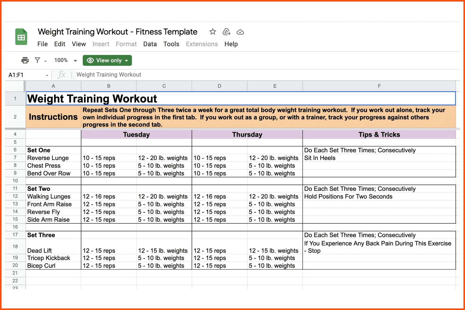 Workout Plan Template Google Sheets EOUA Blog