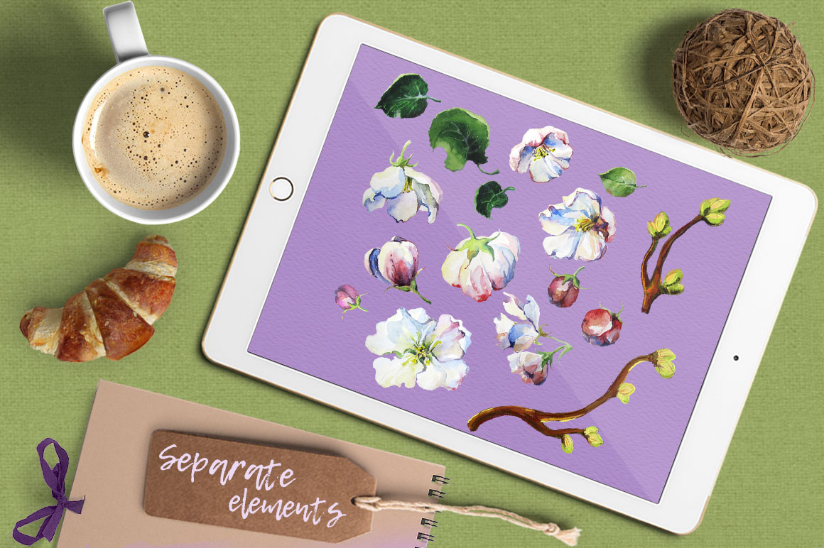 Apple blossom watercolor Clip Art preview tablet.