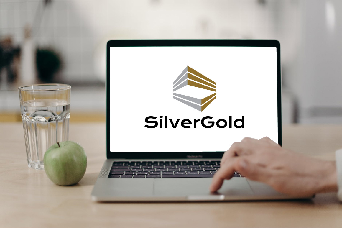 Silver Gold House Building Financial Business Abstract Logo facebook.