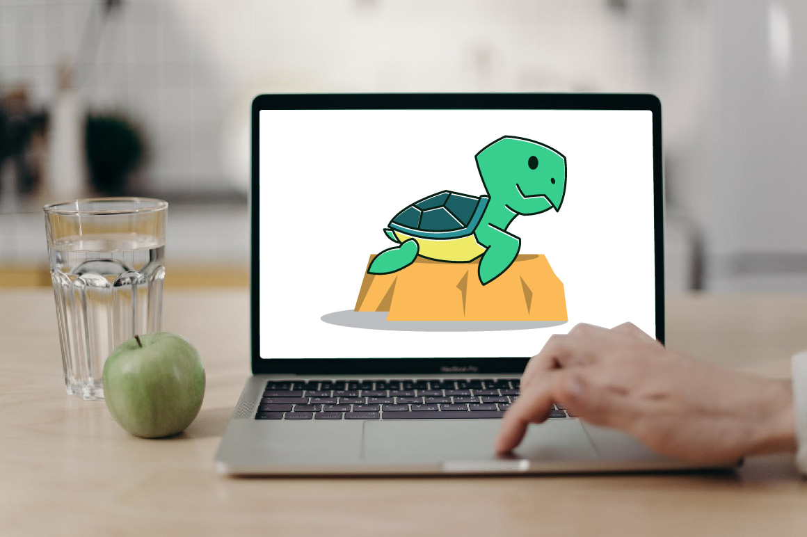 Turtle Tortoise Exotic Reptile Cartoon Sticker cover image.
