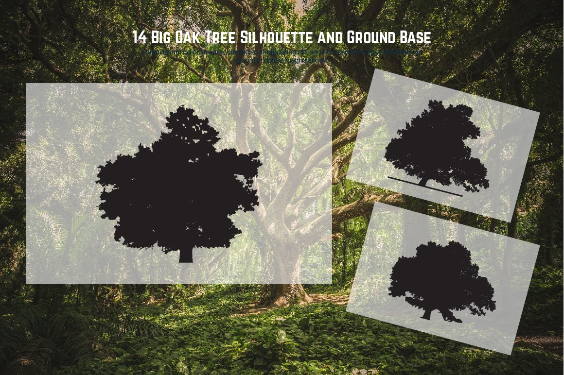 Big Oak Tree Silhouette and Ground Base cover.