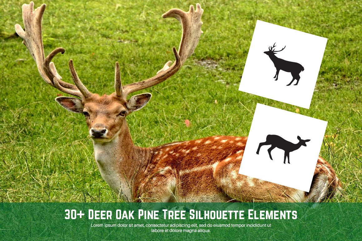  Deer Oak Pine Tree Silhouette Elements preview.