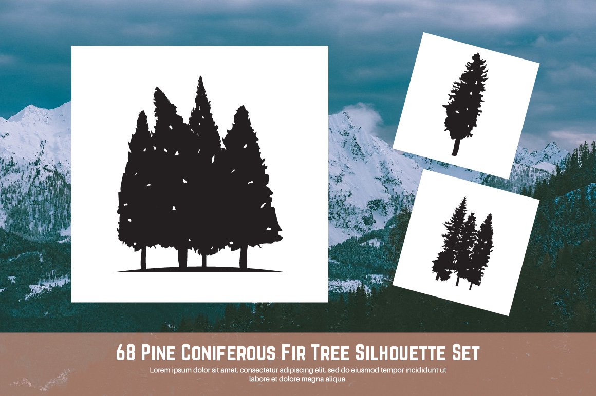 Pine Coniferous Fir Tree Silhouette Set cover.