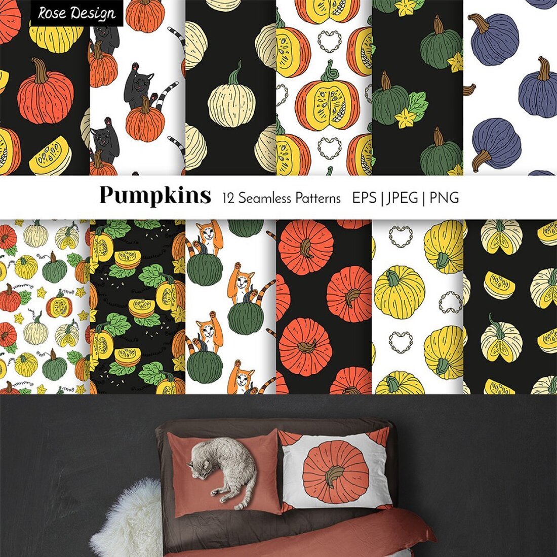 fall pumpkins patterns and elements main cover.