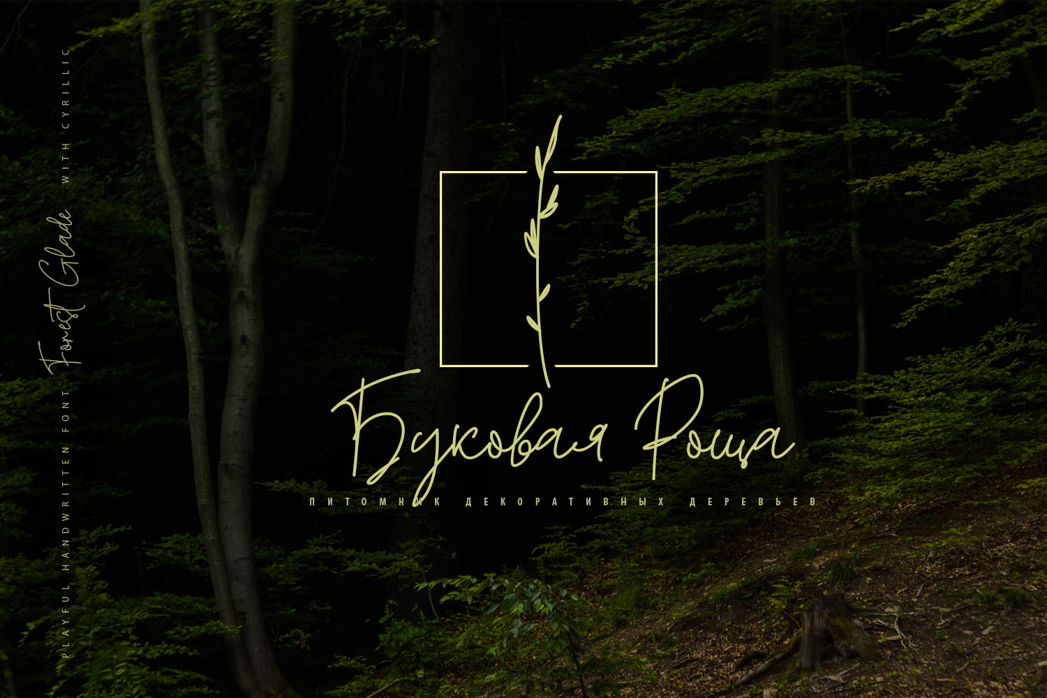 Forest Glade Playful Script Font Cyrillic + Extras.