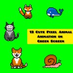 Cute Pixel Animal Animation Video cover.