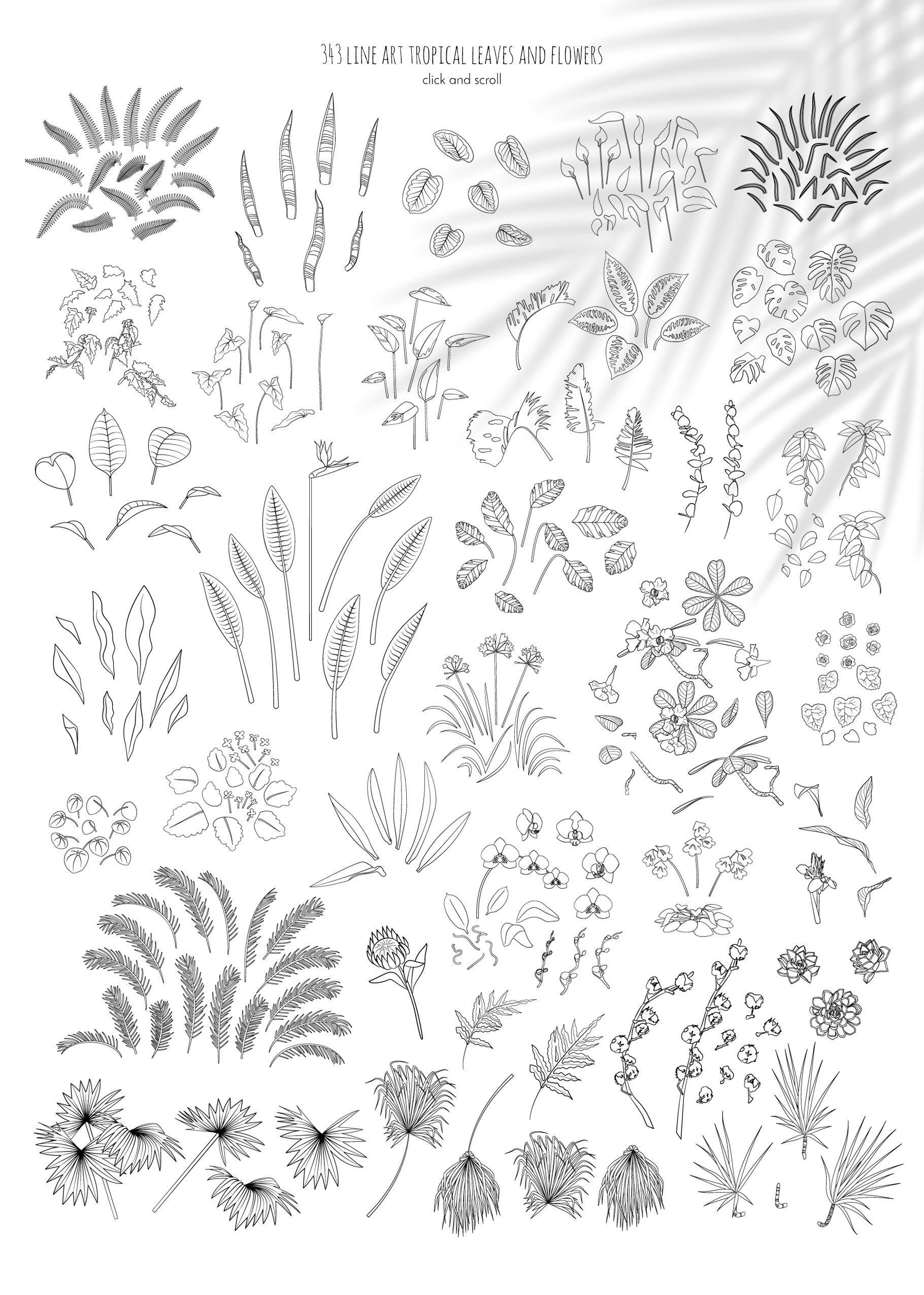 Line art tropical leaves and flowers.
