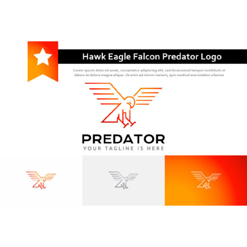 Hawk Eagle Falcon Wings Predator Bird Monoline Logo Template Example.