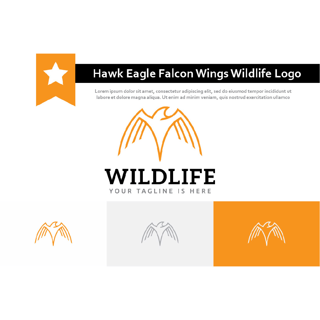 Hawk Eagle Falcon Wings Wildlife Bird Monoline Logo Template Example.