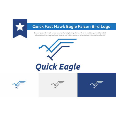 Quick Fast Hawk Eagle Falcon Flying Bird Monoline Logo Template Example.