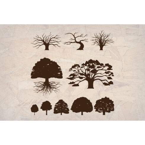 Oak Tree Silhouette Illustration Detail and Natural Example.