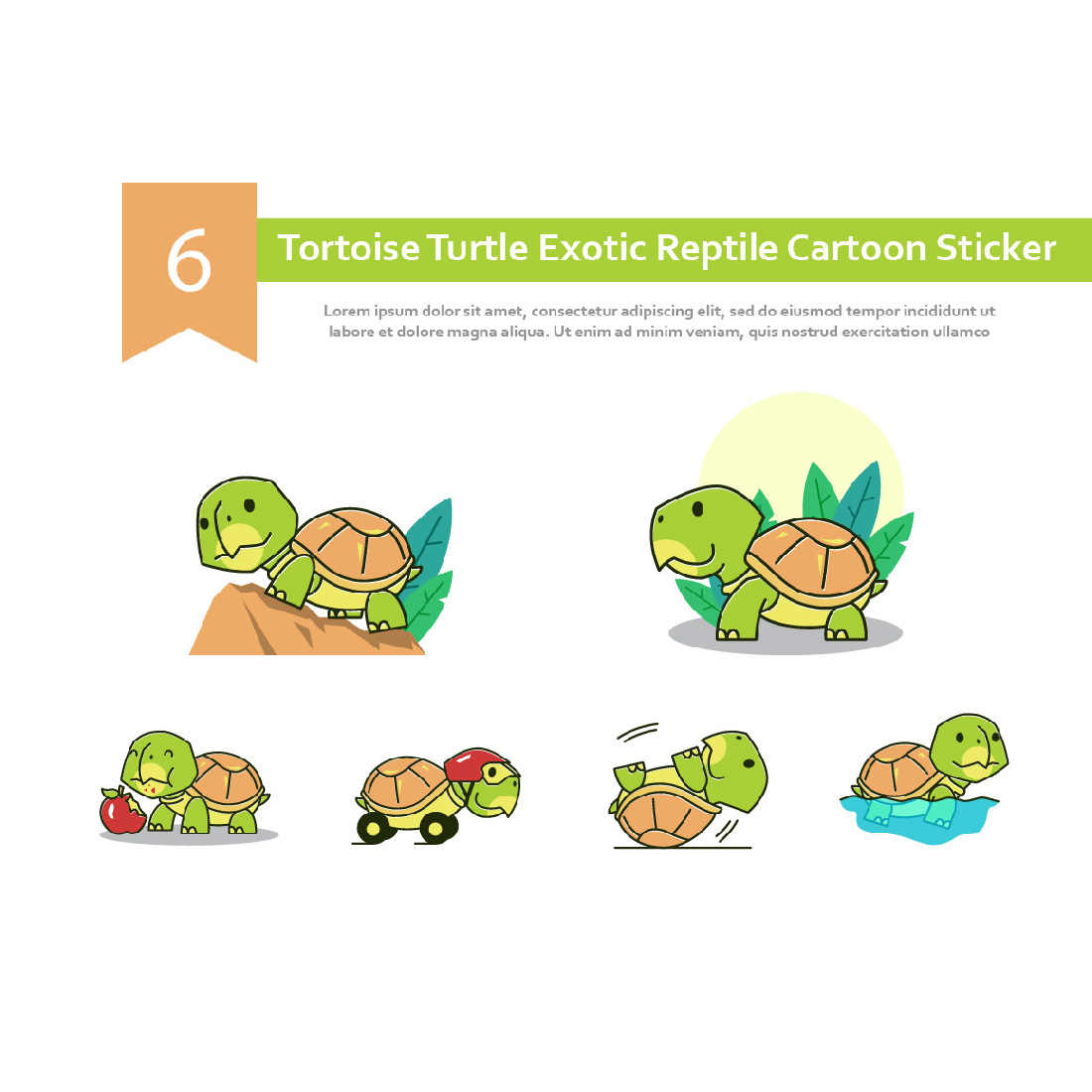 Different Variation of Turtle Cartoon Sticker.