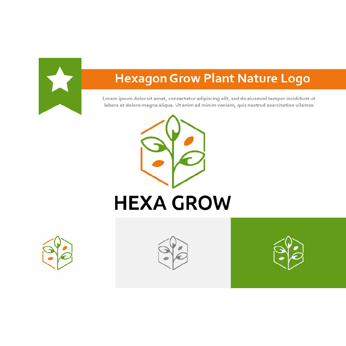 Hexagon Grow Plant Seed Nature Agriculture Logo Example.