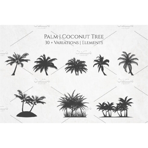 Coconut Palm Tree Silhouette Element Set cover image.