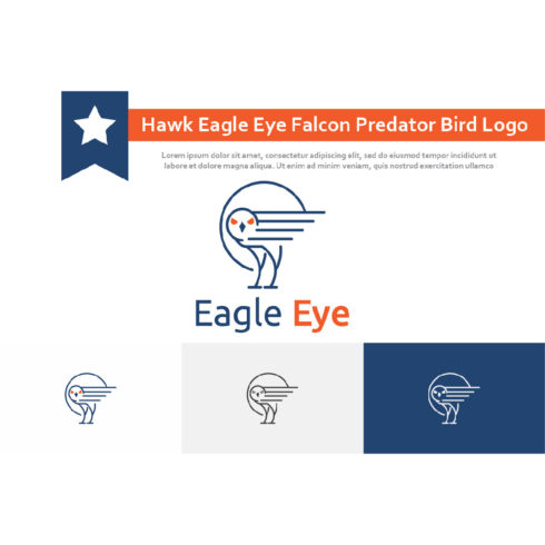 Hawk Eagle Eye Falcon Predator Bird Monoline Logo Template Example.