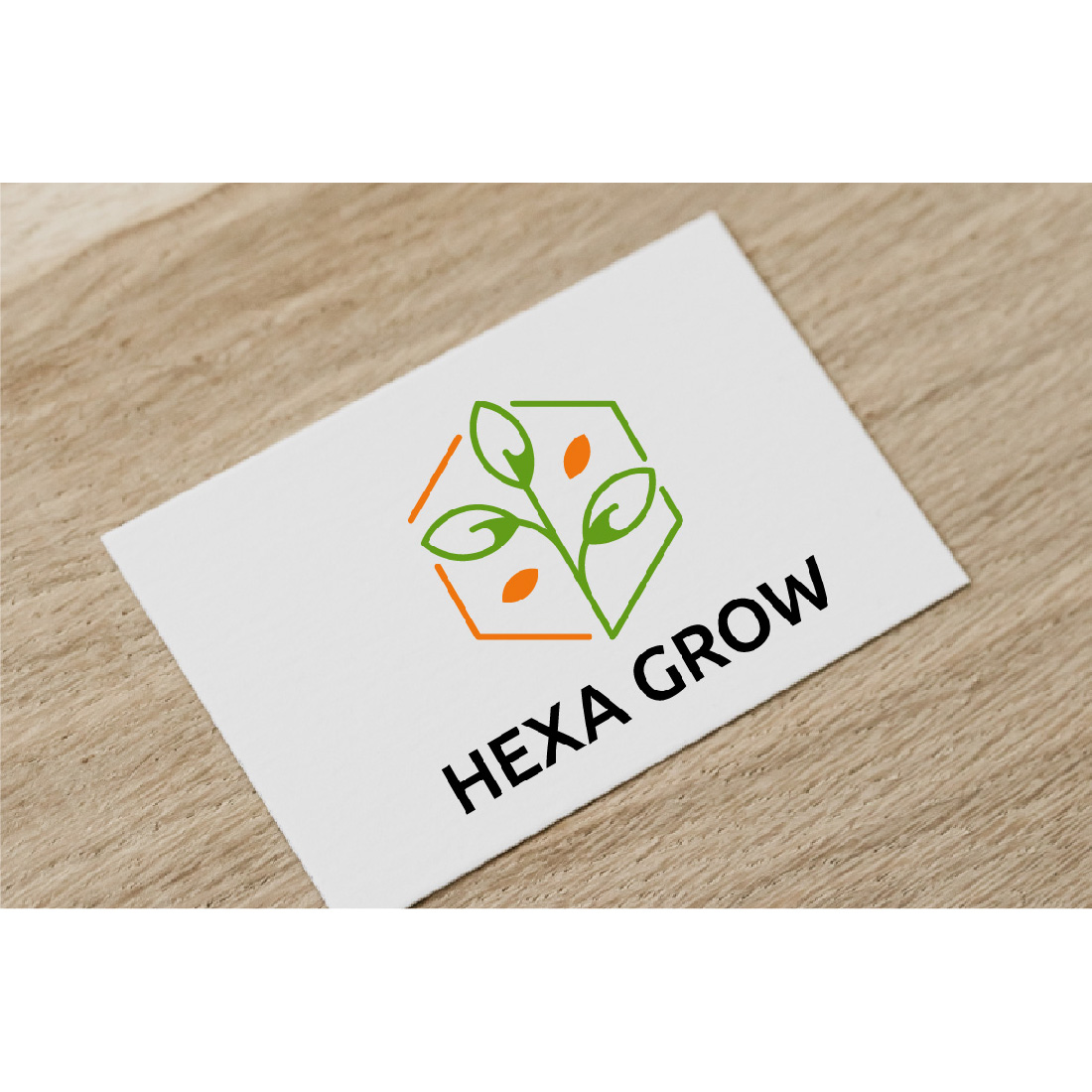 Hexagon Grow Plant Seed Nature Agriculture Logo cover image.