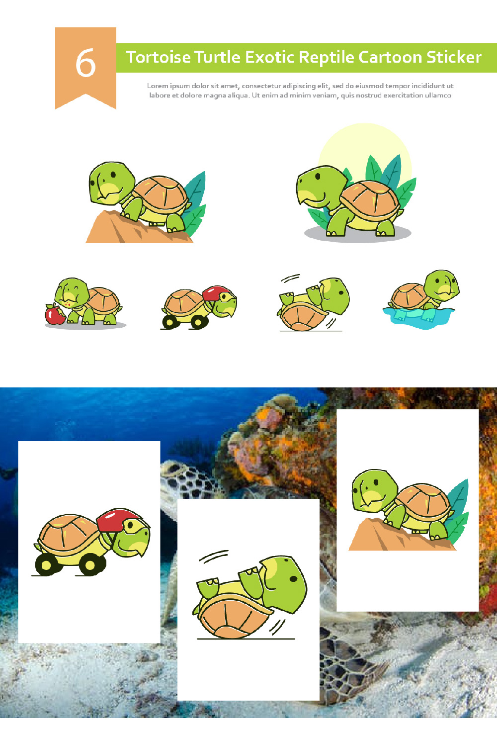 Here you will find the example of all Tortoise Cartoon Sticker.