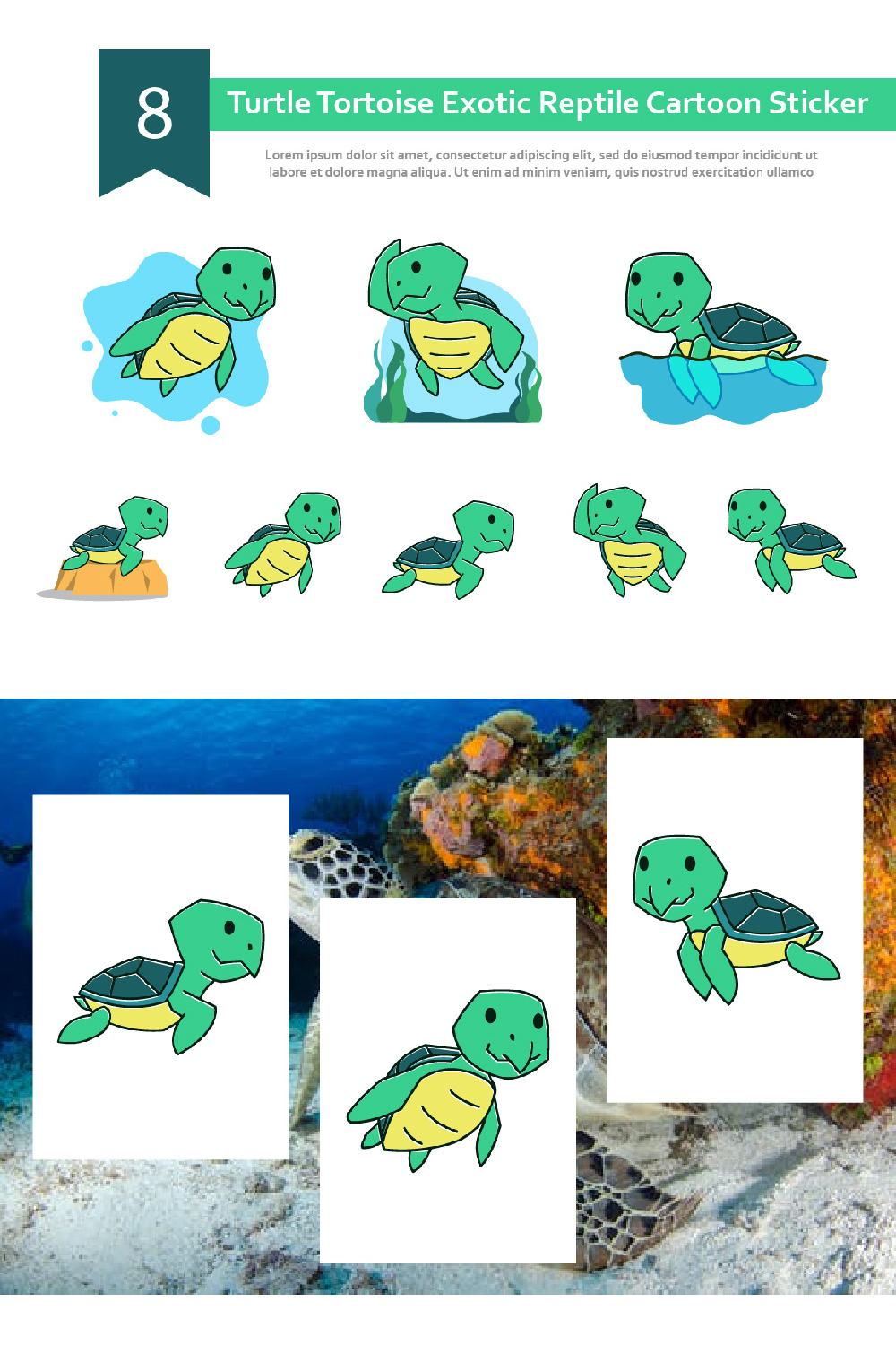Turtle Tortoise Exotic Reptile Cartoon Sticker pinterest.