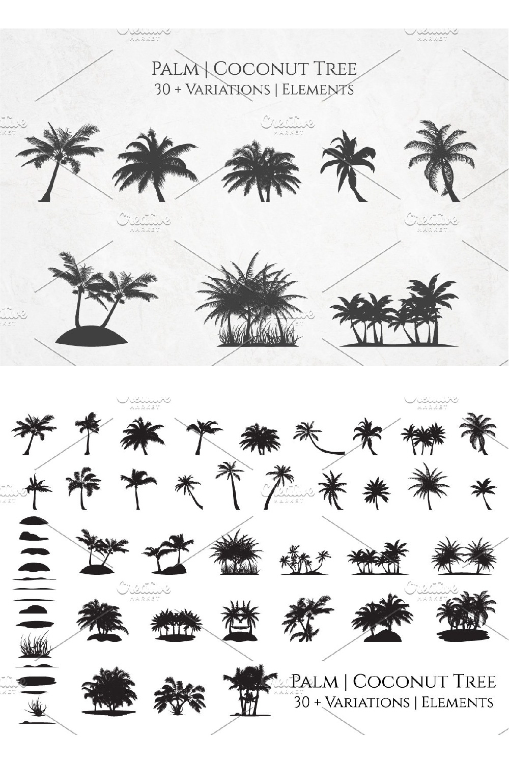 Black coconut palm trees.
