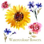 Watercolor Flowers Illustrations facebook image.